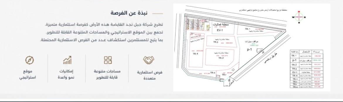 نبذة عن الفرصة